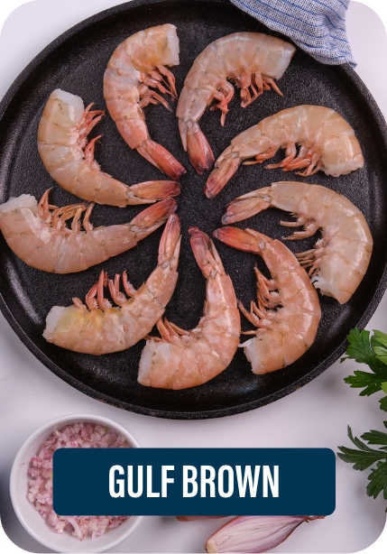 Gulf Brown Shrimp